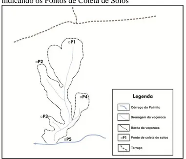 Figura  4  –  Croqui  da  Voçoroca  Córrego  do  Palmito  –  indicando os Pontos de Coleta de Solos 