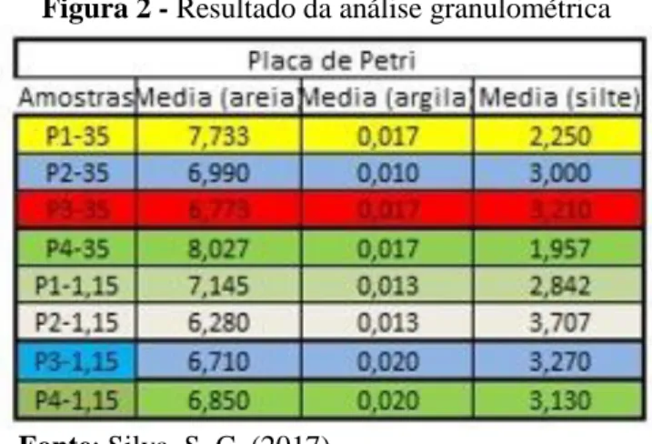 Figura 2 - Resultado da análise granulométrica 