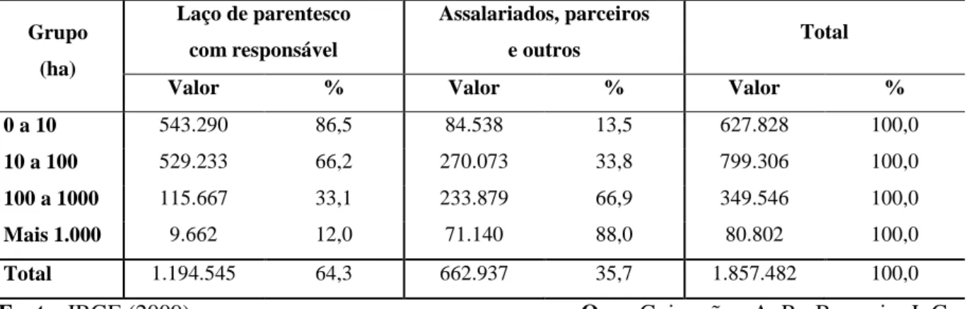 Tabela 8 – Tipo de ocupação nos estabelecimentos agropecuários por estrato de área, Minas Gerais,  2006  Grupo  (ha)  Laço de parentesco com responsável  Assalariados, parceiros e outros  Total 