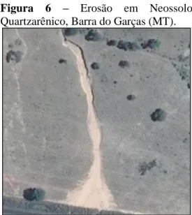 Figura  6  –  Erosão  em  Neossolo  Quartzarênico, Barra do Garças (MT). 