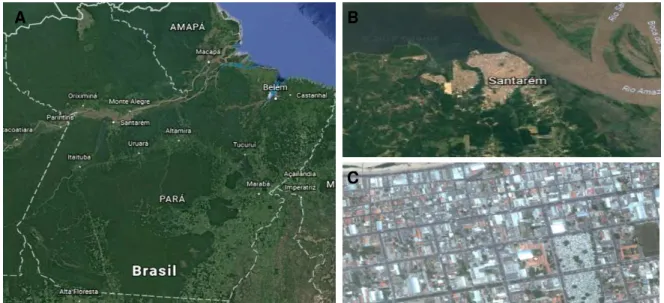Figura 1. Georreferenciamento do estado do Pará (A), com ênfase no município de  Santarém (B) e as localidades da pesquisa (C)