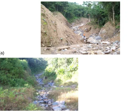 Figura 7 – Alteração das características de percurso e deposição no fluxo de detritos  ocorrido  em  Rio  dos  Cedros/SC  em  novembro  de  2008:  (a)  29/01/2009;  (b)  07/06/2010