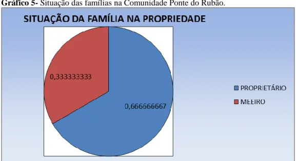 Gráfico 5- Situação das famílias na Comunidade Ponte do Rubão. 