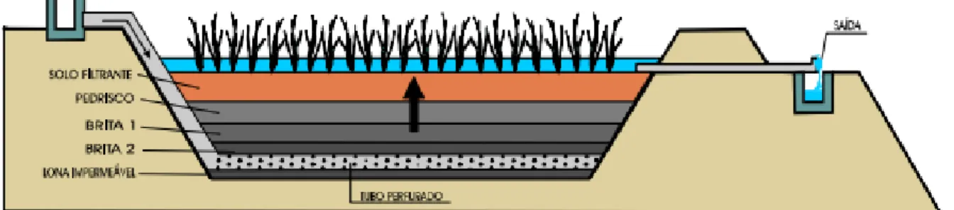 Figura 2 – Wetland construído de fluxo vertical ascendente  