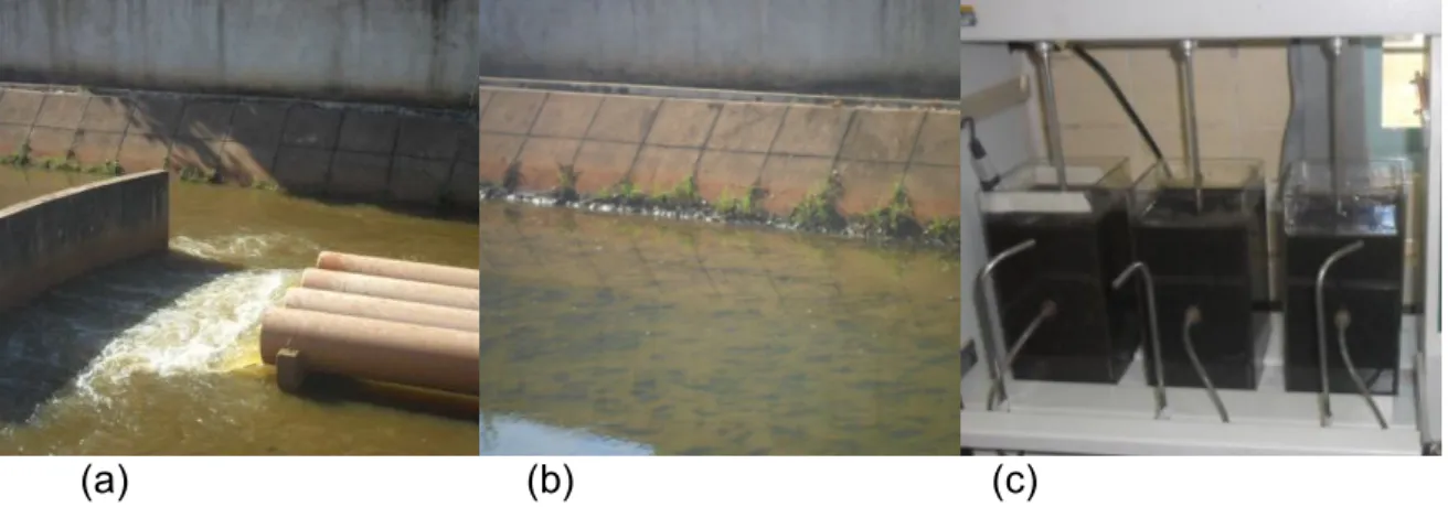 Figura 2: a) Entrada da lagoa de decantação do lodo de lavagem dos filtros da ETA. 