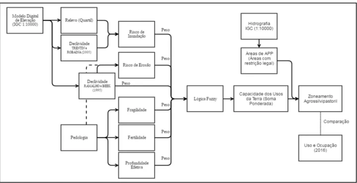 Figura 2 - Organograma de execução das análises  