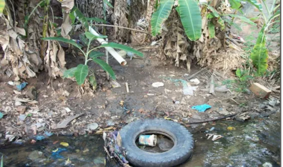 Figura 4: Riacho Bandeirantes Riacho por traz de casas do centro.  