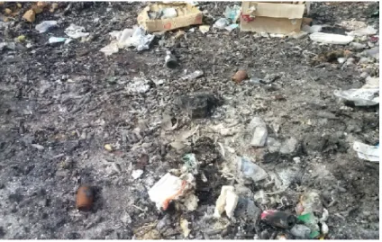 Figura 2. Visão da área estudada com despejo lixo hospitalar, detalhes dos resíduos queimados indiscriminadamente - Cuité-PB