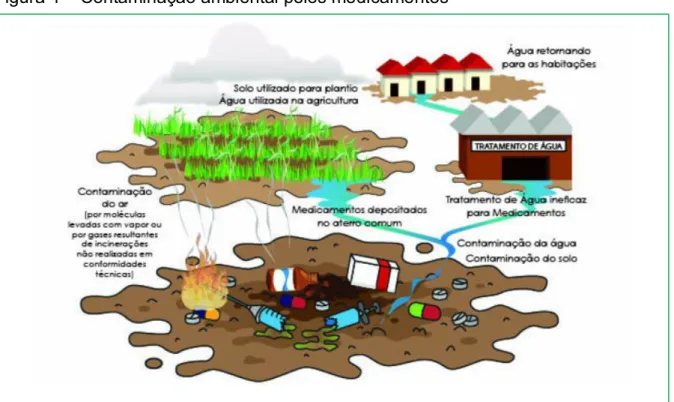 Figura 4 – Contaminação ambiental pelos medicamentos 