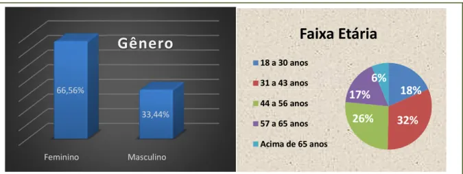 Figura 7 – Gênero e Faixa Etária dos entrevistados 