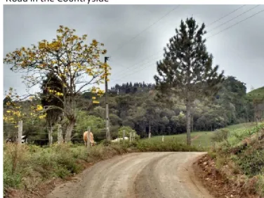 Figure 3 - Road in the Countryside 