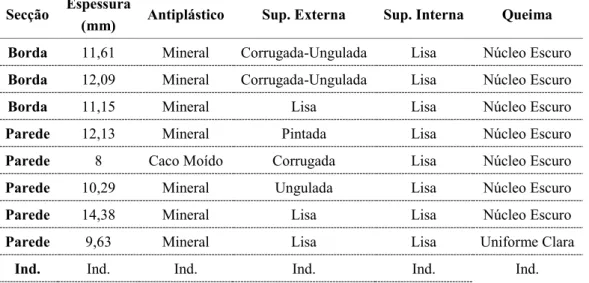 Tabela 3: Dados das cerâmicas encontradas na superfície e entorno do sítio SLF. 