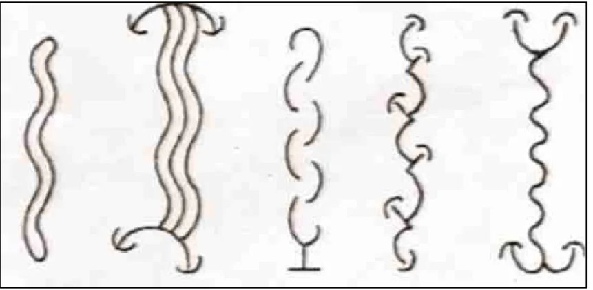 Figura 2: Grafismos em Flechas Xokleng. 