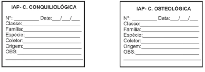 Figura  01.  Instituto  Anchietano  de  Pesquisas.  Modelo  de  etiquetas  das  Coleções Conquiliológica e  Osteológica, respectivamente.