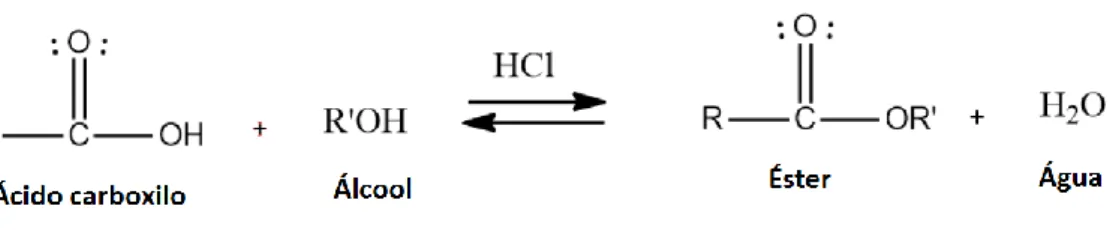 Figura 2. Esquema geral da reação de esterificação. 