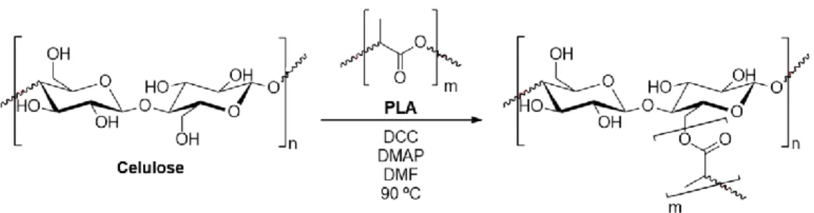 Figura 5. Esquema de esterificação.