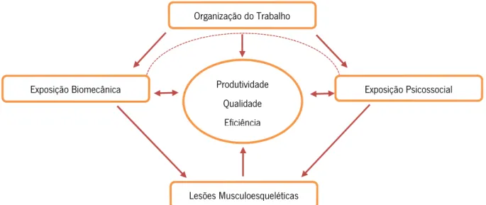 Figura 6 – Modelo ilustrativo das interações entre a organização do trabalho e a ergonomia