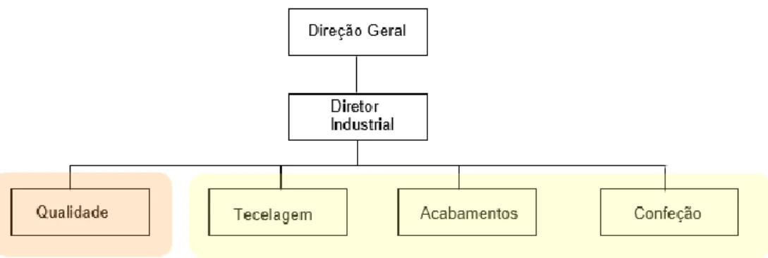 Figura 7 - Matérias-primas utilizadas pela tecelagem (Ribeiro, 2013) 