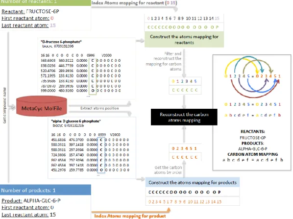 Figure  4.5c  –  Illustration  of  a  carbon  atom’s  mapping  for  the  reaction  with  KEGG  ID: 