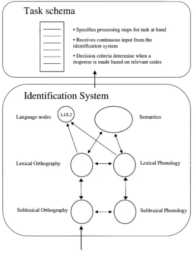 Figure 1. The BIA+ model for bilingual word recognition (Dijkstra &amp; van Heuven, 2002; Dijkstra et al., 2010)