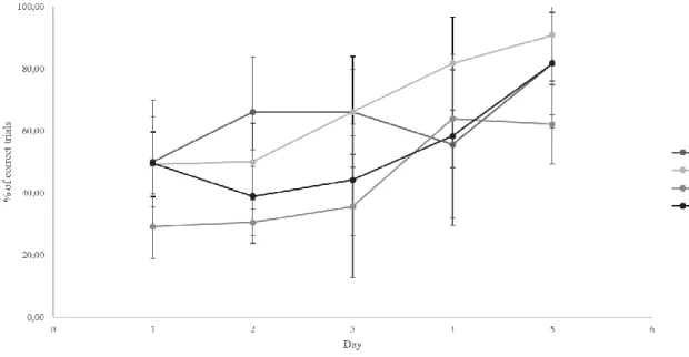 Figure 9. Percentage of correct answers in the T-Maze across the 5 days of testing. 