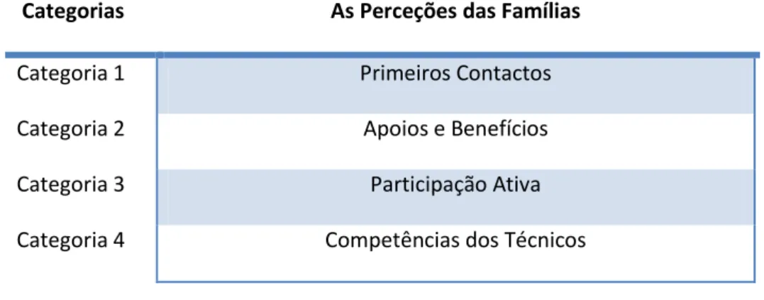 Tabela 9 : Categorias Principais de análise 