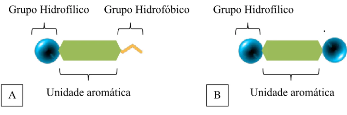 Figura 2.14: Representação esquemática de um composto: A) anfifílico; e um composto  B) bolanfifílico