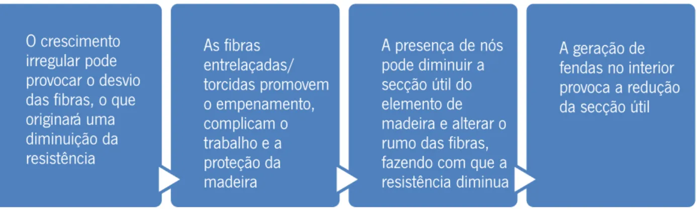 Figura 48 – Processo de formação da árvore com efeito pejorativo sob a própria madeira (in Silva, M., Dias, A., &amp; 