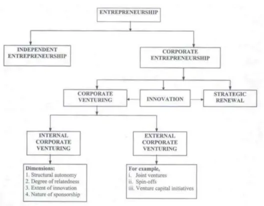 Figura 2 – Corporate Venturing Interno e Externo 