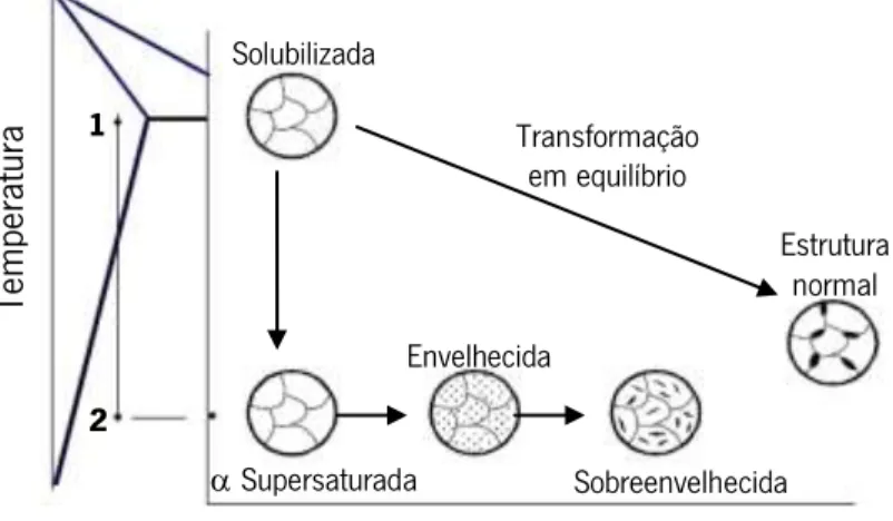 Figura 2.3 – Representação do tratamento térmico de solubilização e envelhecimento natural para a liga  Al4,5Cu