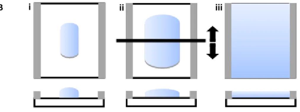 Figura 3. 3: Substratos utilizados para a avaliação da adesão: A)  vidro, B) teflon, C) poliimida e D) polietileno