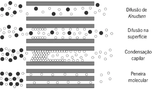 Figura 1.4 Tipos de mecanismos de permeação utilizados para membranas porosas. Adaptado de  [14]