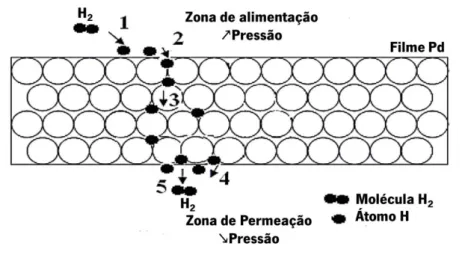 Figura 1.5 Interação do hidrogénio com a membrana de paládio ao longo da sua permeância
