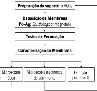Figura 2.1 Esquema das principais etapas realizadas ao longo do trabalho. 
