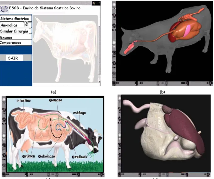 Figura 1 – Modelagem do Sistema estomacal bovino: (a) anatomia do Sistema Digestivo visto interiormente; (b)  imagem exterior de do estomago 3D; (c) interior do abomaso bovino; (d) abertura do estomago em sua evolução 