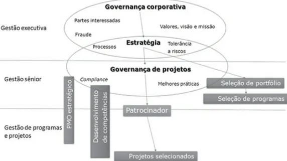 Figura 7: Relação Estratégia - Governança Corporativa -  Project Governance . Krause (2014)