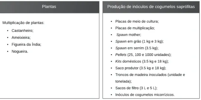 Figura 12 - Produtos da área de plantas e produção de inóculos de cogumelos saprófitas 