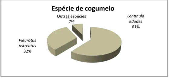 Figura 14 - Percentagem de utilização das várias espécies de cogumelos 