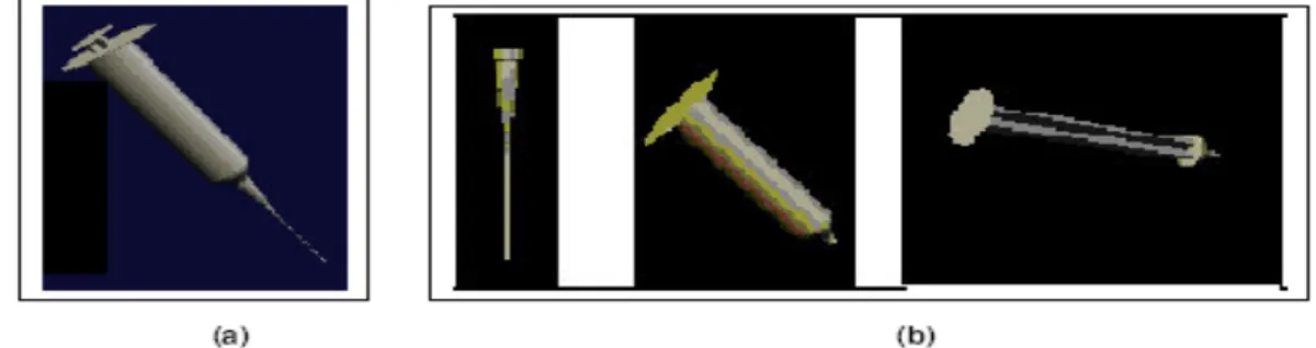 Figura 2 – (a) Objeto3D representando seringa utilizada no procedimento de punção; (b) partes da seringa  modelada