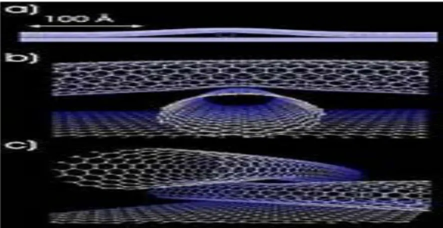 Figura 01: Nanotubos 