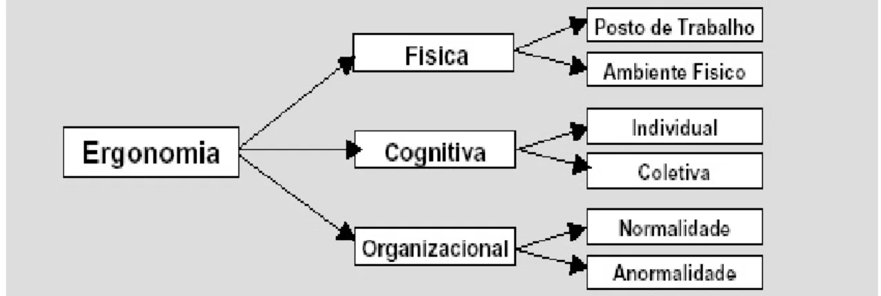 Figura 3. Campos da ergonomia contemporânea. 