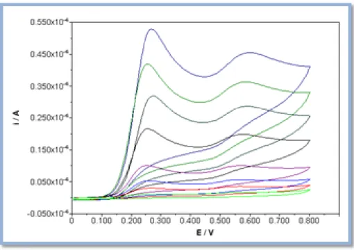 Figura 11: Voltamogramas cíclicos obtidos num SPE à velocidade de 100 mV/s, do ácido gálico com concentrações: 