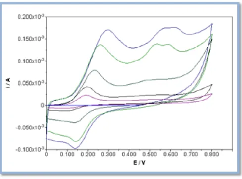 Figura A2.5: Voltamogramas cíclicos obtidos à velocidade de 100 mV/s, para a  mistura de extratos C.10xPV.09,  com concentrações: 0,001 g/ml (roxo), 0,002 g/ml (preto), 0,005 g/ml (azul ciano), 0,01 g/ml (verde) e 0,02 g/ml  (azul)