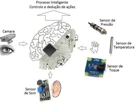 Figura 5 - O cérebro humano e os sensores