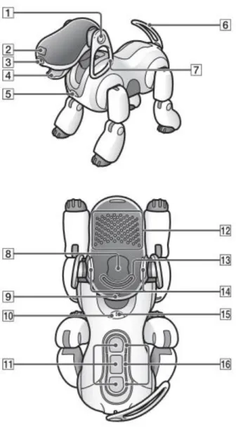 Figura 6 - Sensores do AIBO 