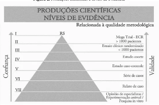 Figura 2. Produções científicas e níveis de evidência 