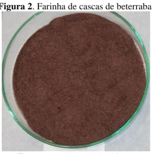 Figura 2. Farinha de cascas de beterraba. 