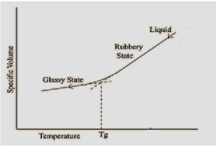 Figure 14 : Glass transition temperature of an amorphous polymer. Adapted from (Gonzalez-Gutierrez 2015)  