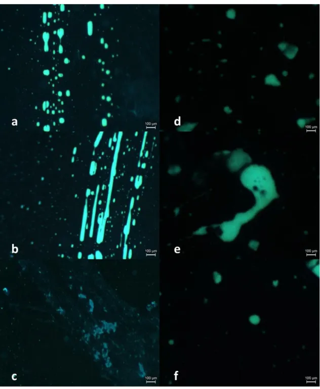 Figure 4-5 FOM micrograph of 70/100EVA5 binder (a,b,c) and 70/100HDPE5 (d,e,f), acquired from the bottom  part of the glass slide