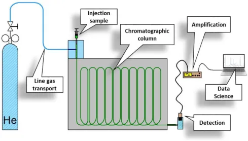 Figure 2 - Blocks diagram. Scheme of a gas chromatograph 